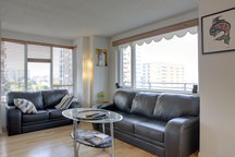 amazing condo - full apartment