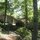 Front of home:  2 acre gardens featured in 2010 Chapel Hill tour