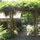 There are three vine-covered arbors on the property