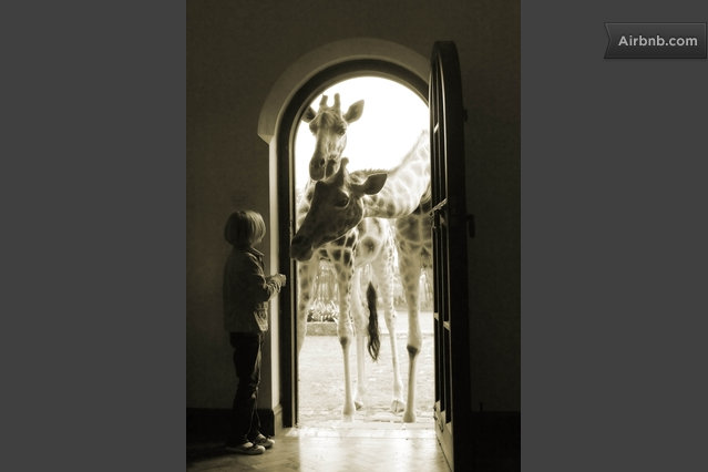 Giraffe Manor - Knock, Knock....