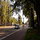 Streetview