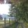 Hains House driveway