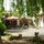 Tranquil and sunny garden at Le Grand Saule