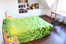 the Scandinavian Room