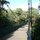 Alum Chine bridge