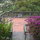 Communal yoga deck next to main house