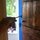 Welcome !  (I love the old wooden doors throughout the house)