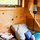 The Tiny Fern Forest Treehouse