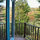 The Tiny Fern Forest Treehouse