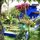 Jardins Majorelle (5 min from the apartment)