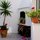 PARTICOLARE BARBECUE APPARTAMENTO ARANCIO