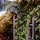                                                                              private entry for cabin