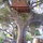 30 feet high in the oak tree with the squirrels and birds: are you ready?