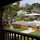 Hollywood Hills Charmer! 3br house.