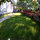 the garden