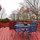 back deck-- lots of trees in the back yard