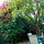 Hollywood Hills Charmer! 3br house.
