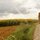 Charming Lge Stone Villa: SW France