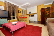 Luxuary apartment - Arc de Triomphe