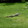 Casa Infinito Ocean View and Jungle