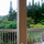 Lanai view of tropical gardens. Pick bananas, grapefruit, lemons and more.