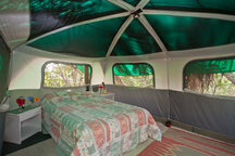 Owls Nest Secluded Walk-In Tent!