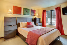 1 Bedroom Downtown Seattle Oasis