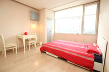Entire flat, Palace view in city