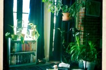Sweet Studio w/ exposed bricks