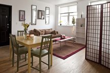 Whole 2 BR apt in Williamsburg