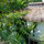 Peaceful Central Garden Apartment