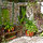 Peaceful Central Garden Apartment