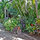 Peaceful Central Garden Apartment