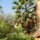 Garden bed and breakfast rome eur