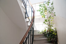 Beautifull old renewd apartment BA!