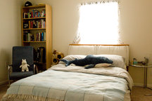 Entire Apt or Single Room Montrose
