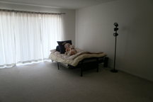 1 bed room apartment near O'Hare