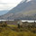 Amazing house 20 km from Bariloche