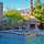 Designer Modernist Architecture 
