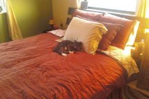 East Austin Studio Apt-SXSW-Manor