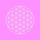 Flower of Life in Bright Room