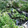 Vegan Bed & Breakfast Cottage 