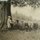 Learn about the history of our farm