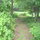 Path to the Waterfall