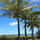 Rockin' Ocean View from the Farm! 