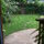 BACK GARDEN