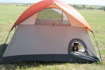 Spacious Tent in Huge Backyard
