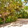 Ocean Views Gracious Island Home