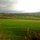 looking toward the demesne from the lane - taken 16 Feb 12