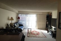 Cambridge Apt for Boston Marathon